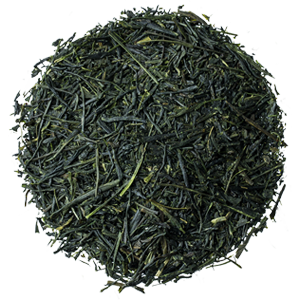 Sencha